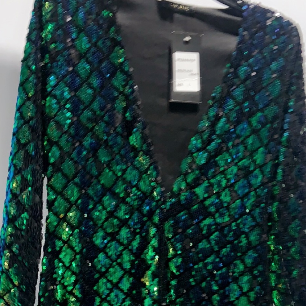 Transparent Sequin Dress , Size: Large ,Never Worn